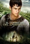 Image Maze Runner 1: Correr o morir