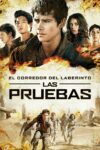 Image Maze Runner 2: Prueba de fuego