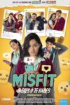 Image Misfit