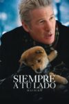 Image Hachiko: Siempre a tu lado