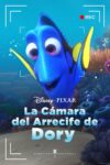 Image El Arrecife de Dory